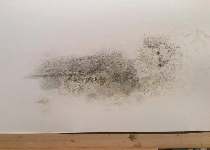 Gewellte Rückwandpappe durch Wandfeuchtigkeit
